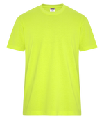Custom Printing Heavyweight Tee WeRK250